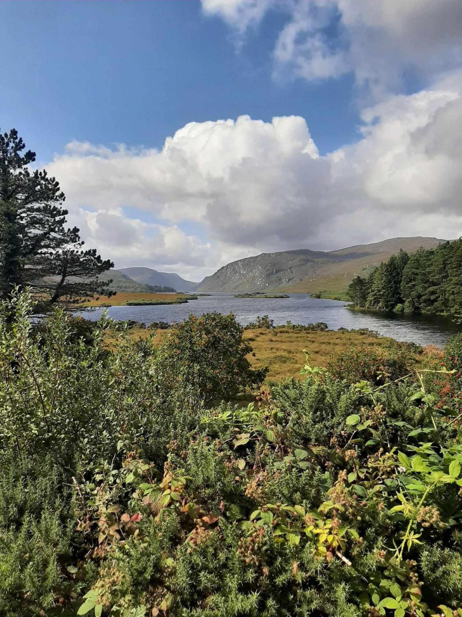 Ivy Lodge Letterkenny Exteriér fotografie